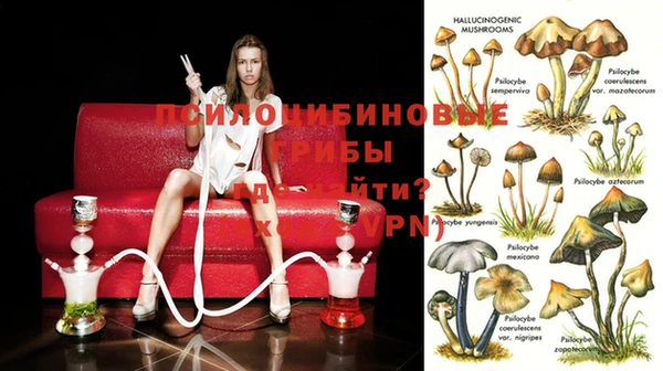 MDMA Арсеньев